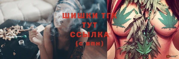 PSILOCYBIN Алзамай