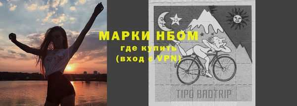 PSILOCYBIN Алзамай