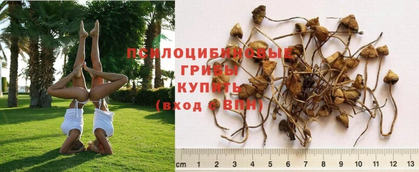 метадон Новодвинск