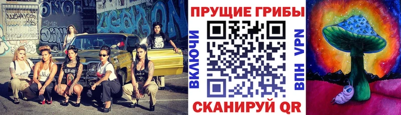 Купить  Балахна  Псилоцибиновые грибы GOLDEN TEACHER 